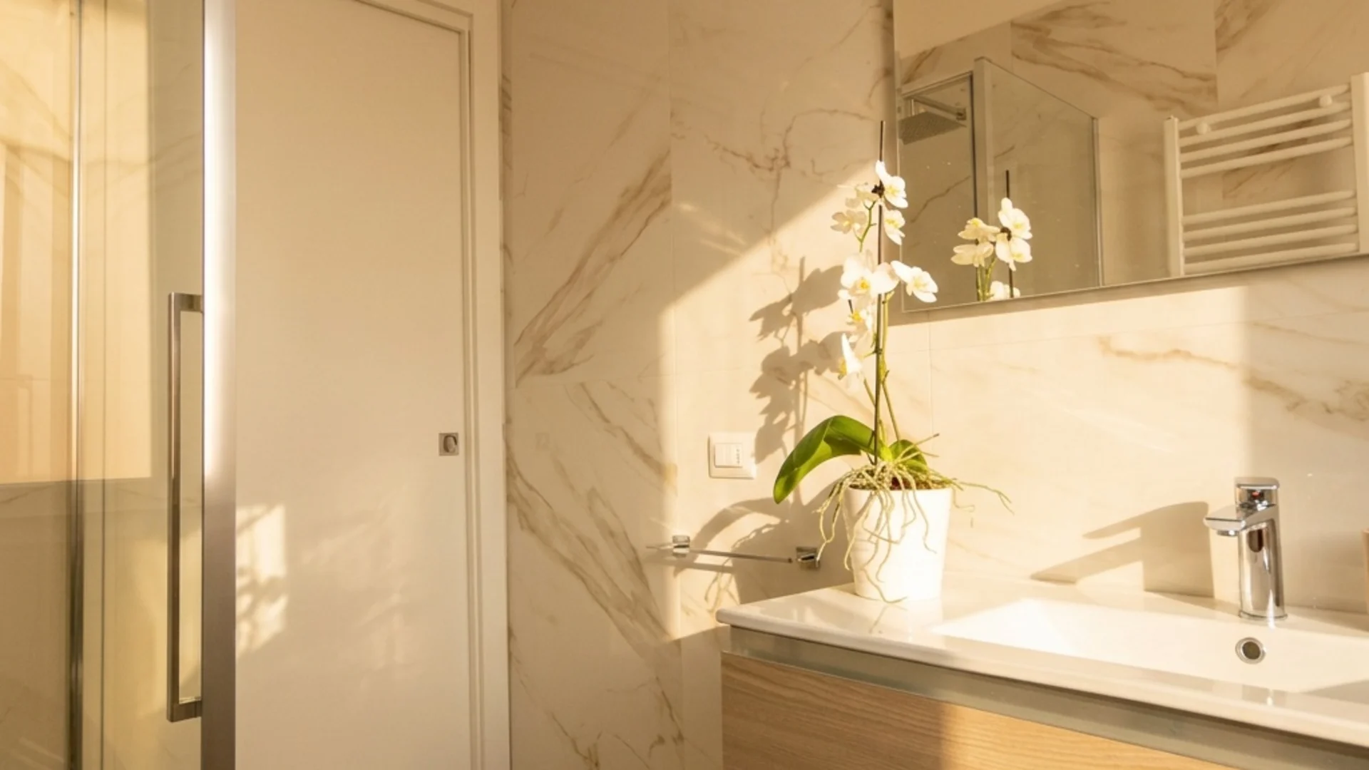 Bagno moderno con doccia in vetro, lavabo, specchio e pianta decorativa